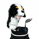 Daphne's Headcover - Bernese Mountain Dog