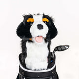 Daphne's Headcover - Bernese Mountain Dog