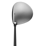 Qi35 DS Precious Metals Driver - Silver