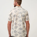 Local Forecast Polo