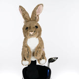 Daphne's Headcover - Rabbit