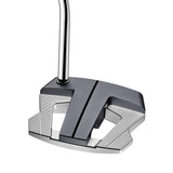 Golf putter with a metallic head and shaft on a white background