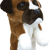 Daphne's Headcover - Boxer