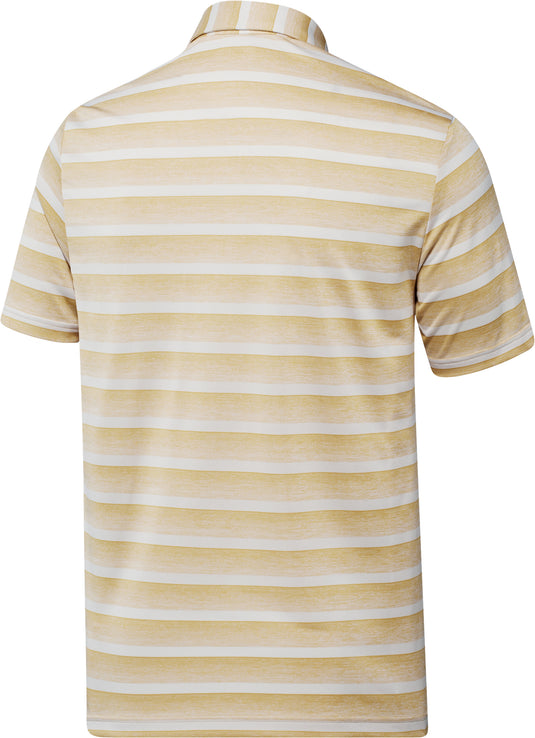 Two-Color Striped Polo Shirt