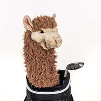 Daphne's Headcover - Llama