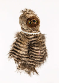 Load image into Gallery viewer, Daphne&#39;s Headcover - Owl Hybrid
