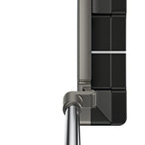 Scottsdale Anser 2D