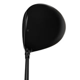 Qi4D Max Driver - Designer Series