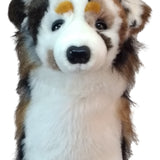 Daphne's Headcover - Australian Shepard