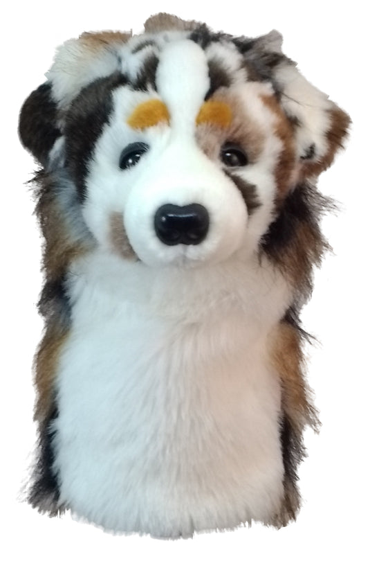 Daphne's Headcover - Australian Shepard