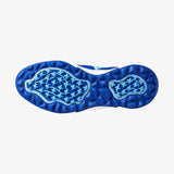 Contender GS - Surf the Web