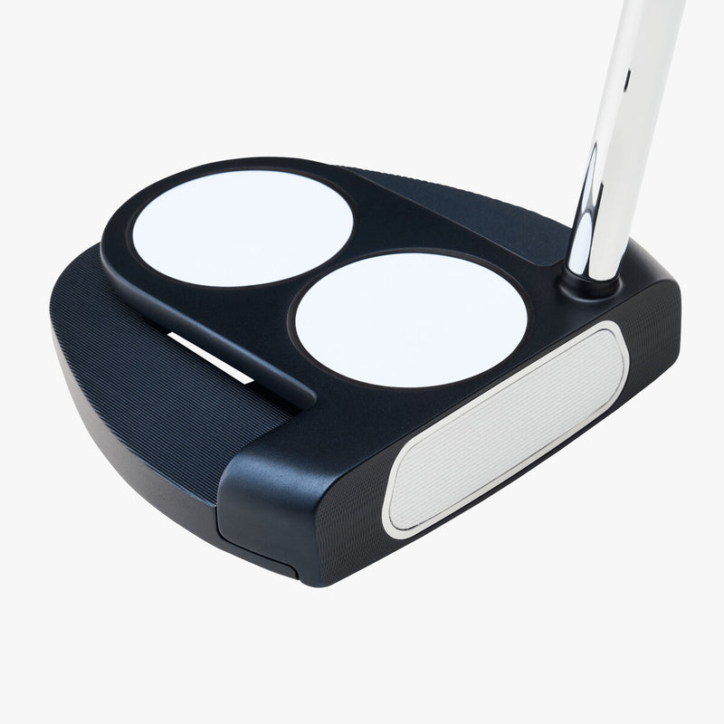 Load image into Gallery viewer, Ai-ONE 2-Ball Jailbird Mini DB Putter
