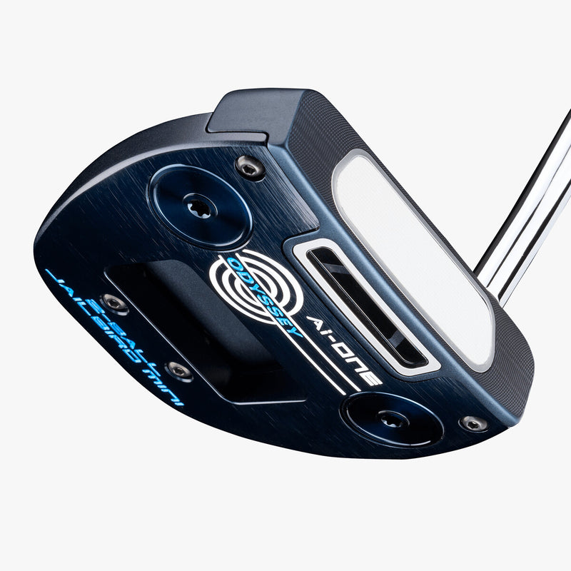 Load image into Gallery viewer, Ai-ONE 2-Ball Jailbird Mini DB Putter
